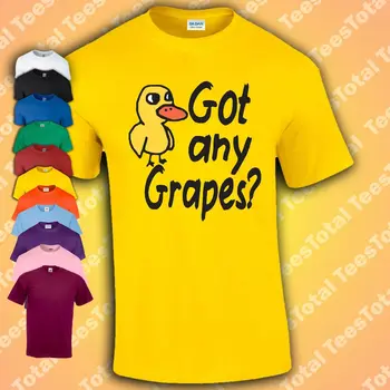 Есть виноград, мороженое, свежий лимон, детская футболка с забавной надписью, песня-мем, детская футболка с длинными рукавами